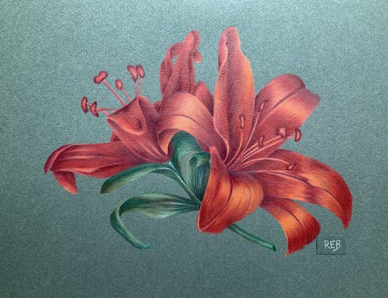 Tiger Lilies EPacket Robyn Brooks CDA